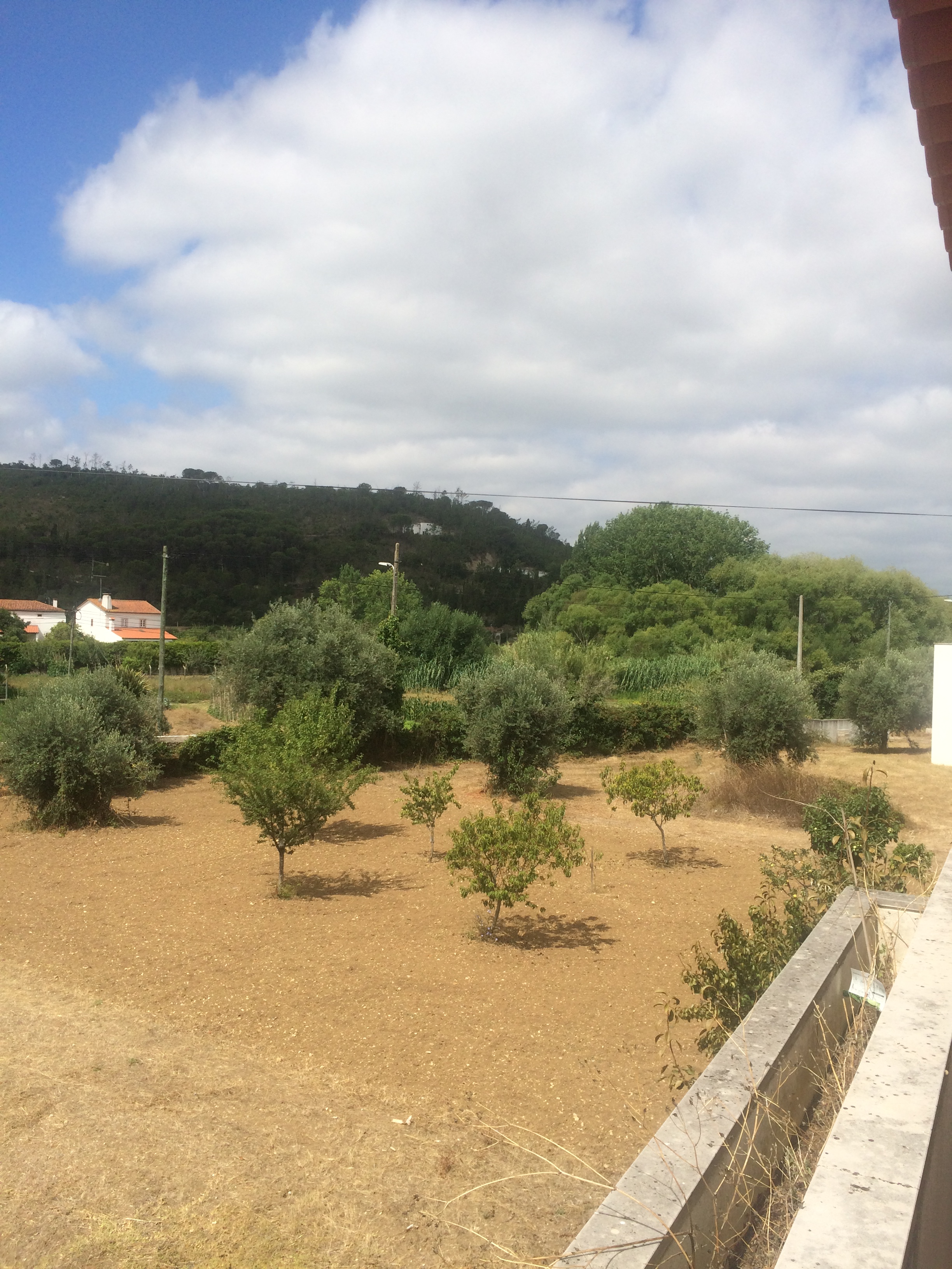 Olivoturismo  – Sentir a Terra!
